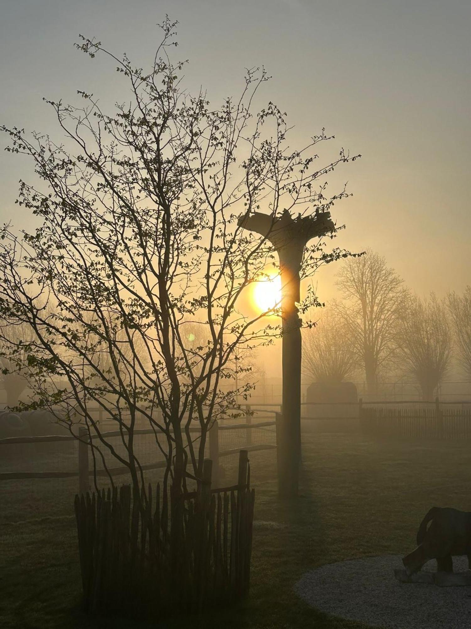 B&B De Alffarhoeve Hamme Exteriér fotografie